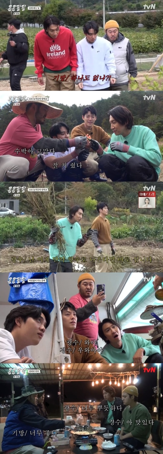 tvN '콩콩팥팥' 방송캡쳐