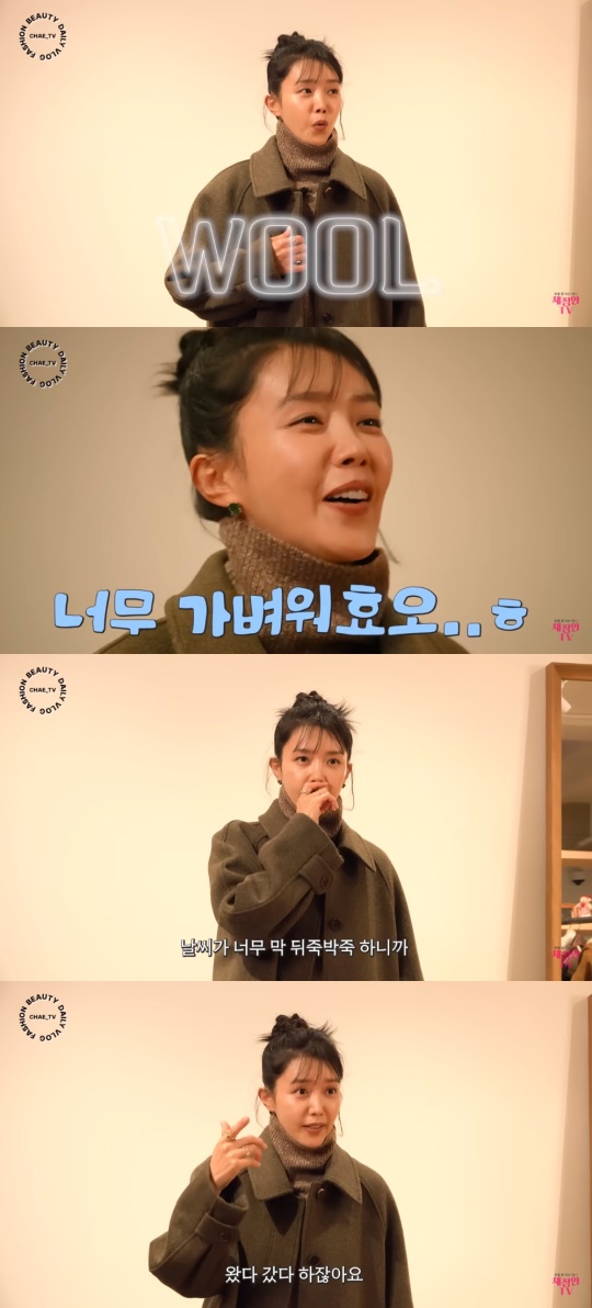 '채정안TV' 유튜브 캡처