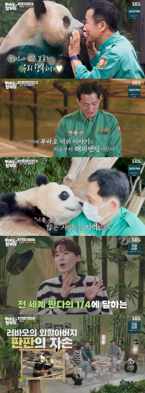 SBS ‘푸바오와 할부지’ 방송화면 캡처