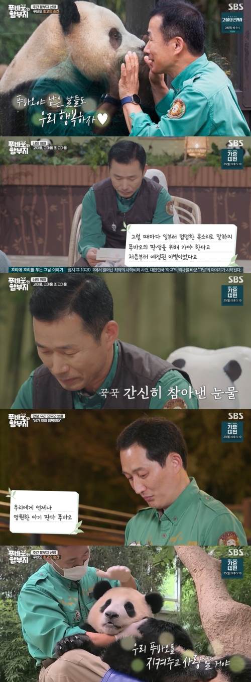 SBS ‘푸바오와 할부지’ 방송화면 캡처