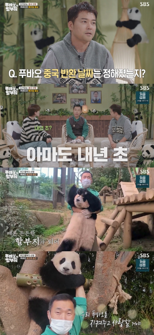 SBS ‘푸바오와 할부지’ 방송화면 캡처