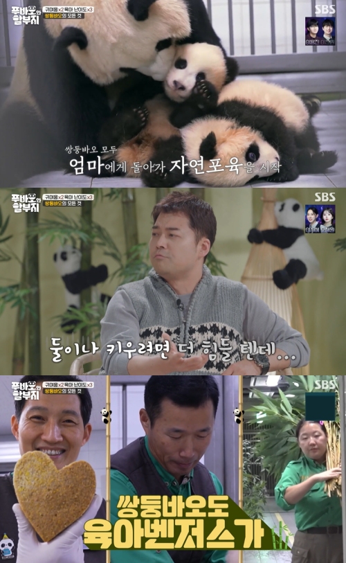 SBS ‘푸바오와 할부지’ 방송화면 캡처