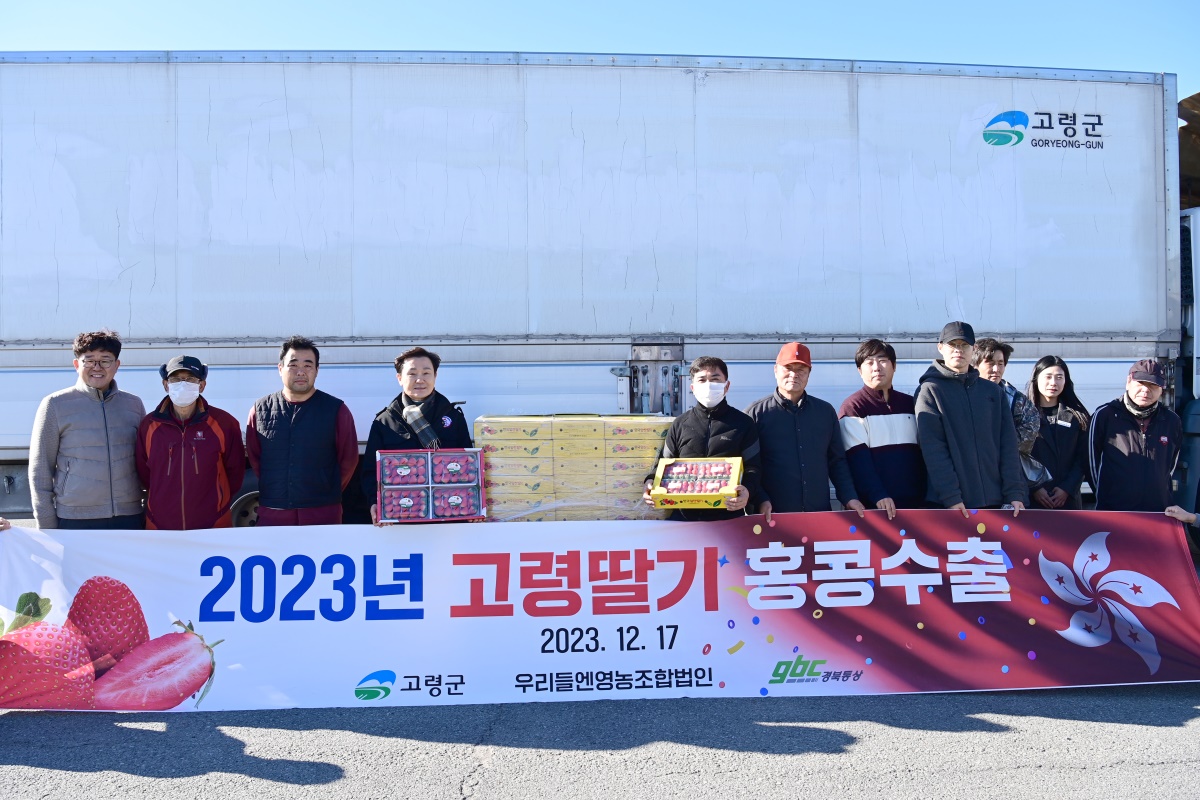 [고령군 제공]