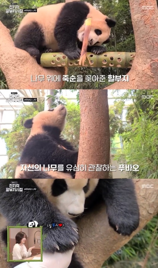 사진=MBC 방송 화면 캡쳐