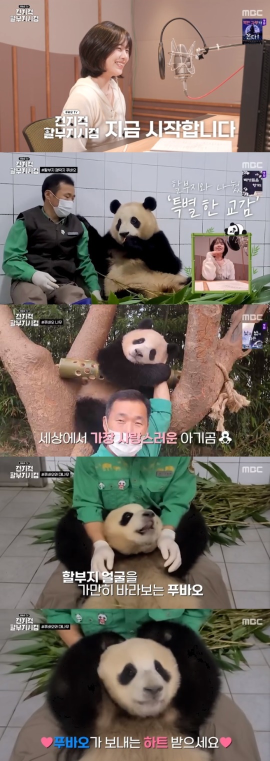 사진=MBC 방송 화면 캡쳐