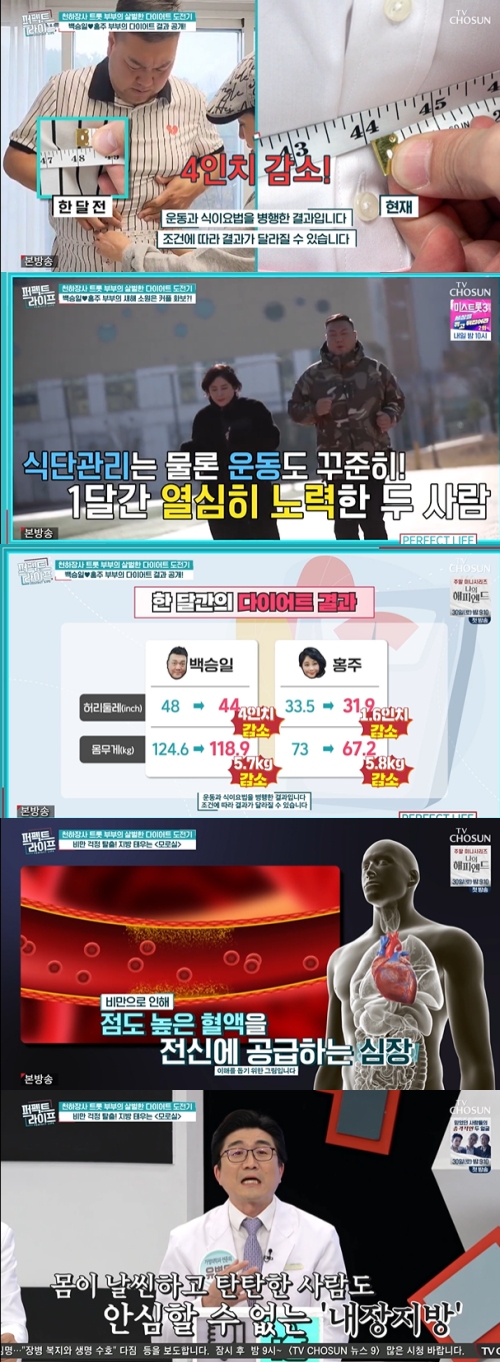 TV조선 ‘퍼펙트 라이프' 방송화면 캡처