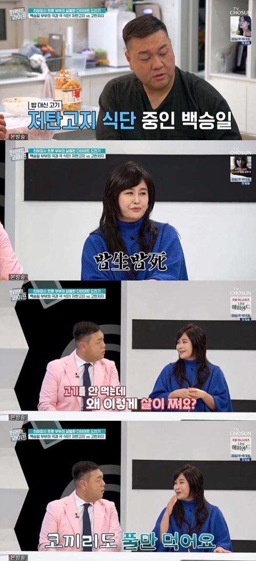 TV조선 ‘퍼펙트 라이프' 방송화면 캡처