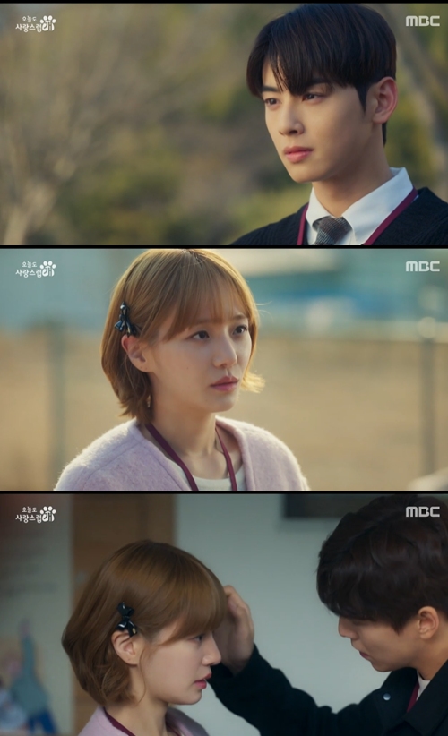 MBC '오늘도 사랑스럽개' 방송화면 캡처