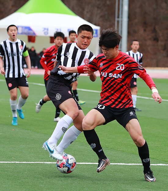 2024 울진 금강송 춘계 중등 U15 축구대회가 울진에서 열린다.사진은 지난 대회 모습(울진군 제공)