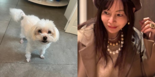 황신혜 채널