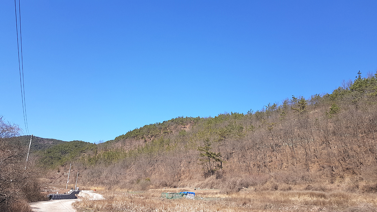 안동시 남후면 고하리 일원 산림 전경 (영주국유림관리소 제공 )