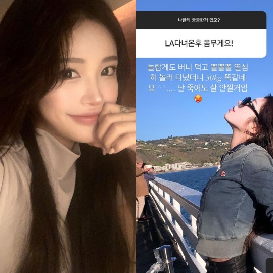 최준희 채널