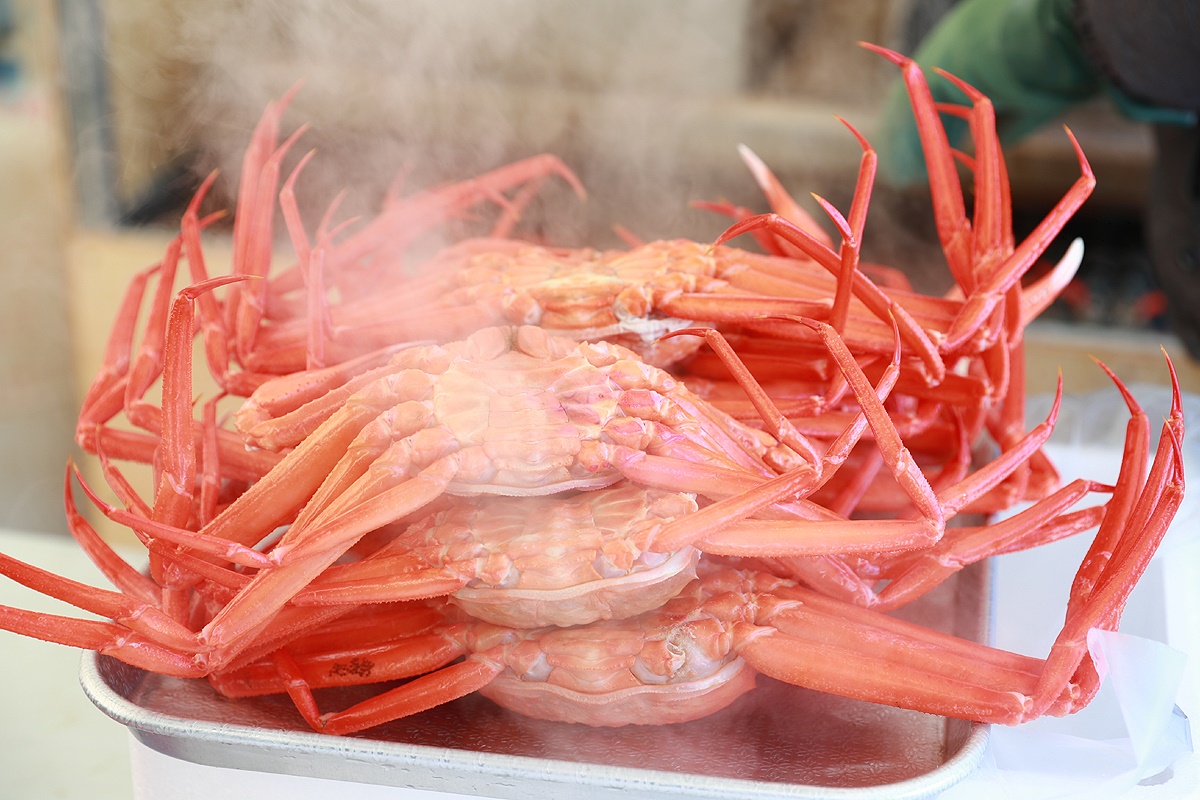 맛있게 익힌 붉은대게. (울진군 제공)