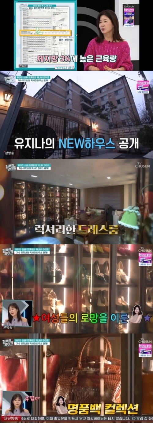 TV조선 '퍼펙트 라이프' 방송화면 캡처
