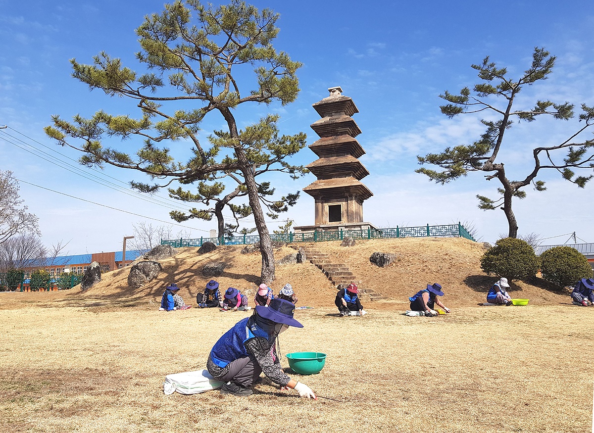 ‘노인일자리 사업’에 참여한 어르신들이 문화재 부지에  잡초를 재거 하고 있다. (의성군 제공)