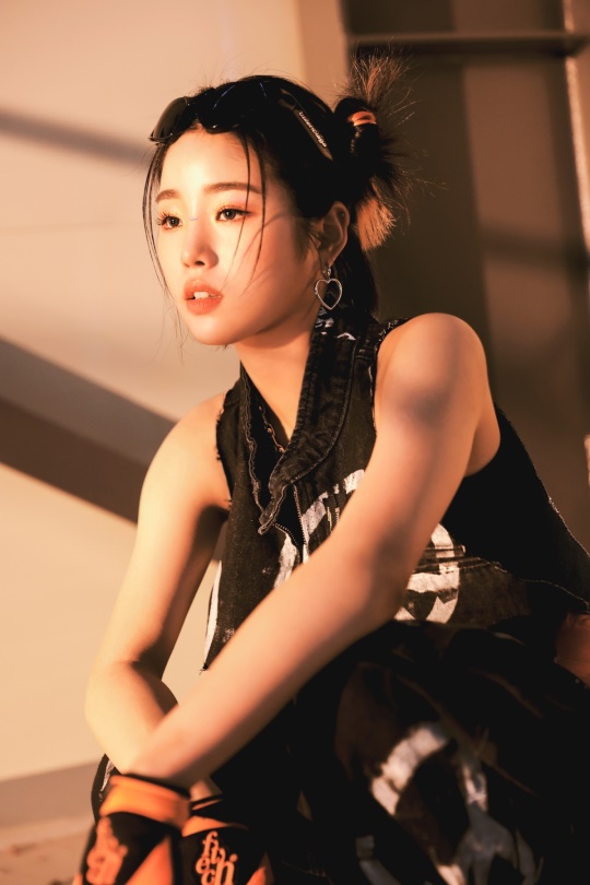 사진제공=RBW, DSP미디어, 비츠엔터테인먼트
