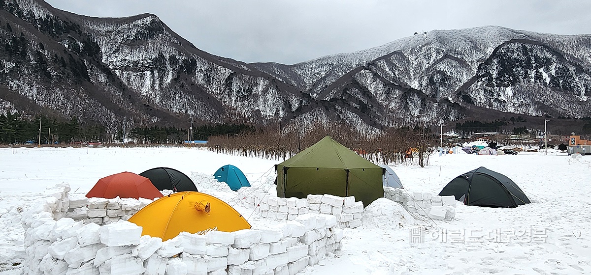 겨울왕국 울릉도 나리분지에는 요즘  스노 캠핑 마니아 ‘북적’이고 있다(독자제공)