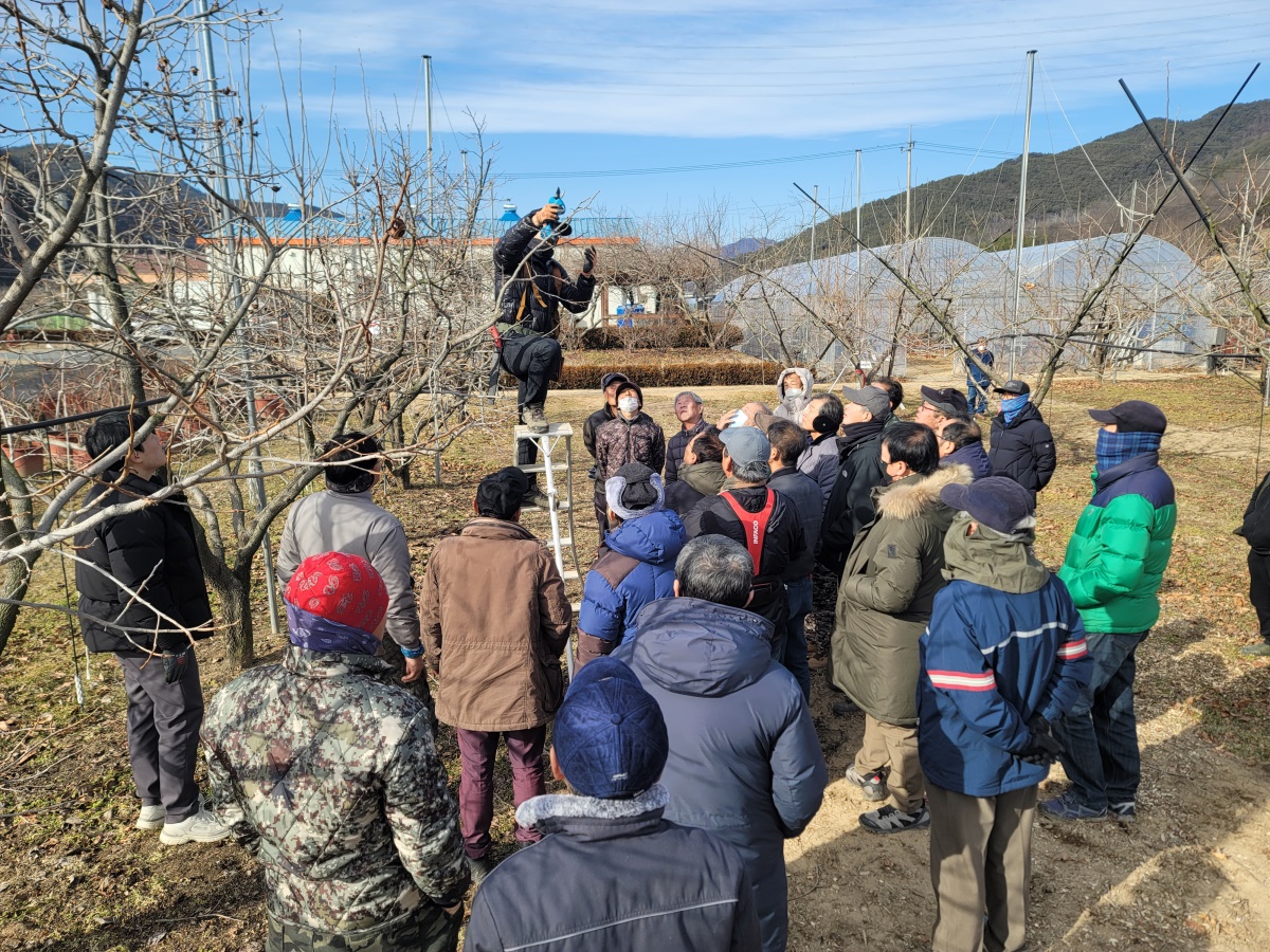 [청도군 제공]
