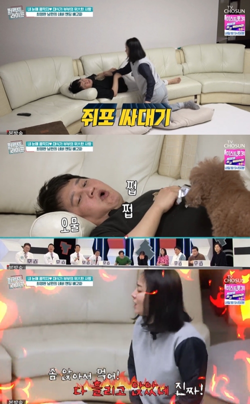 TV조선 '퍼펙트 라이프' 방송화면 캡처