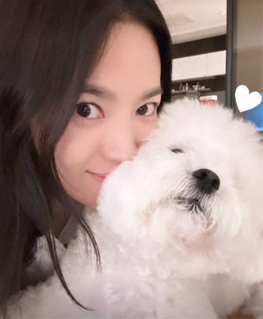 송혜교 채널