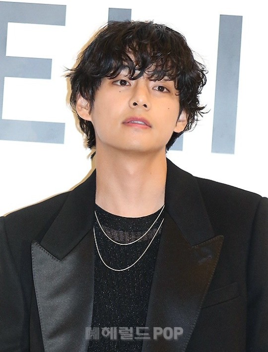 방탄소년단 뷔/사진=헤럴드POP DB