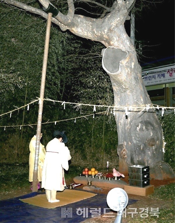 안동시는 오는23일  웅부공원에서  안동부 신목 제사'를  올린다(헤럴드 DB)