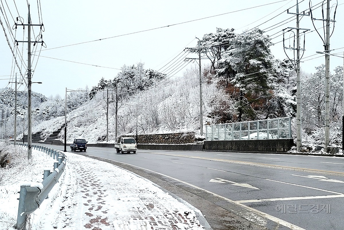 22일 대설주의보가 내려진 영주시역에  신속한 제설작업으로 시민불편을 최소화 했다(사진=김성권 기자)