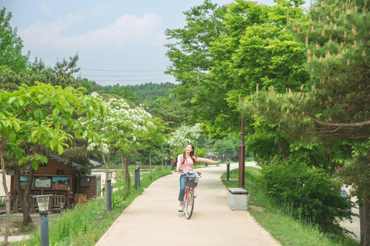영주 무섬마을을 방문한 여행객이 자전거를 타고 마을 구석구석을 돌아보고 있다. {영주시 제공
