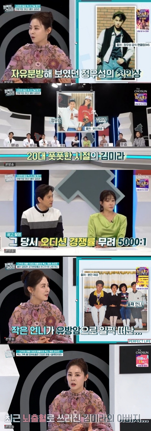 TV조선 '퍼펙트 라이프' 방송화면 캡처