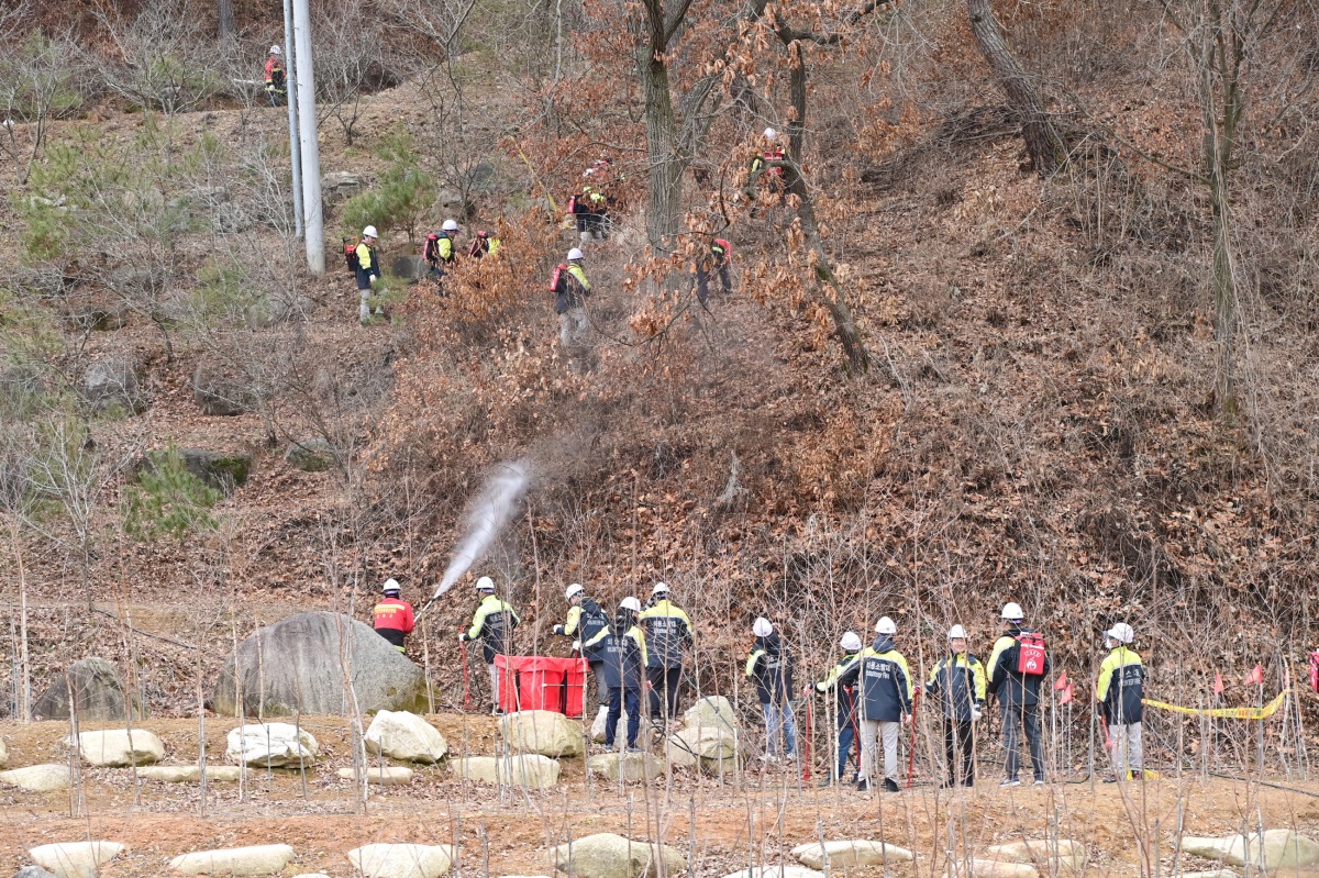 [청송군 제공]
