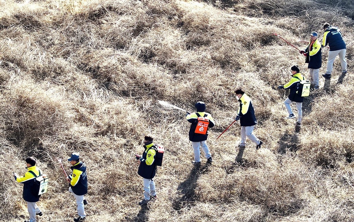 영주소방서와 경북도 소방본부가 8일 영주시 장수면 갈산리  일대에서 강풍 대비 ‘산불진화’ 합동훈련을 진행했다(영주소방서 제공)
