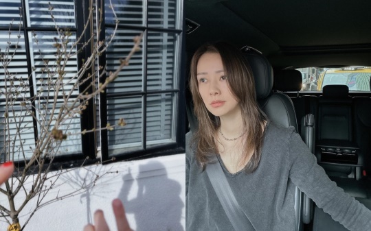 손태영 채널
