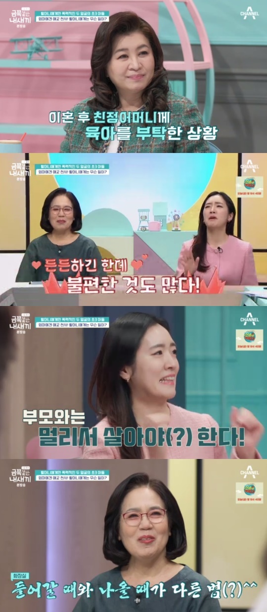 채널A '금쪽같은내새끼' 캡처