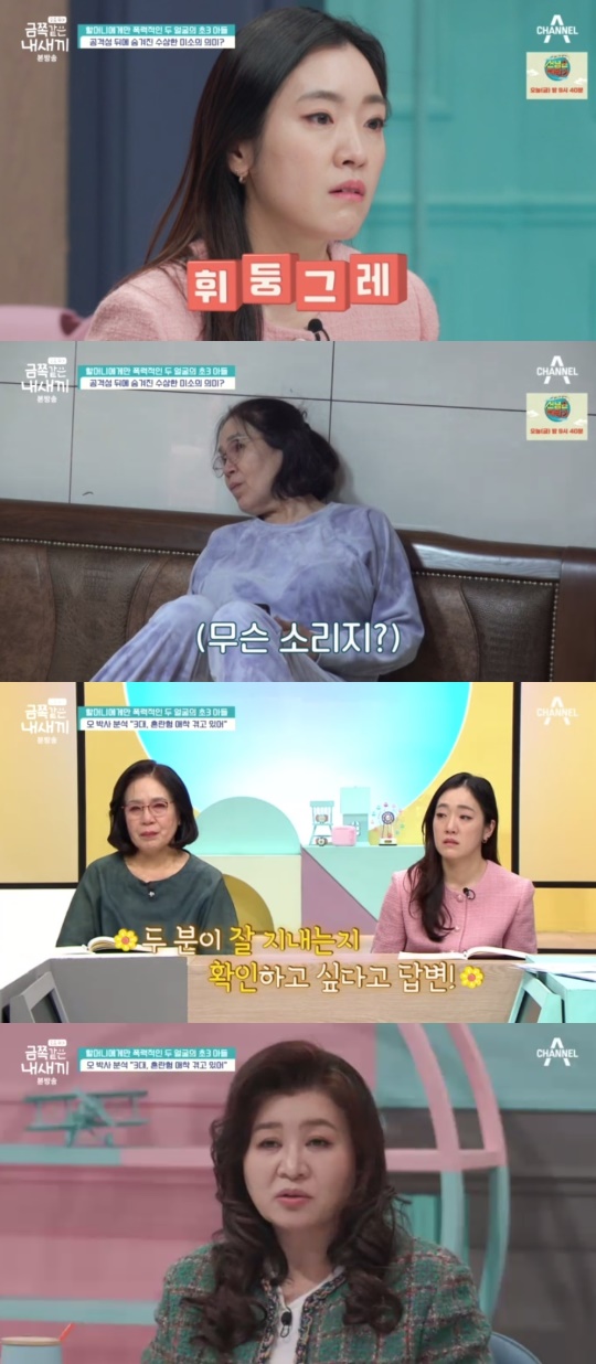 채널A '금쪽같은내새끼' 캡처