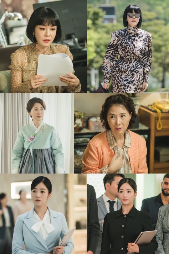 사진 제공: tvN