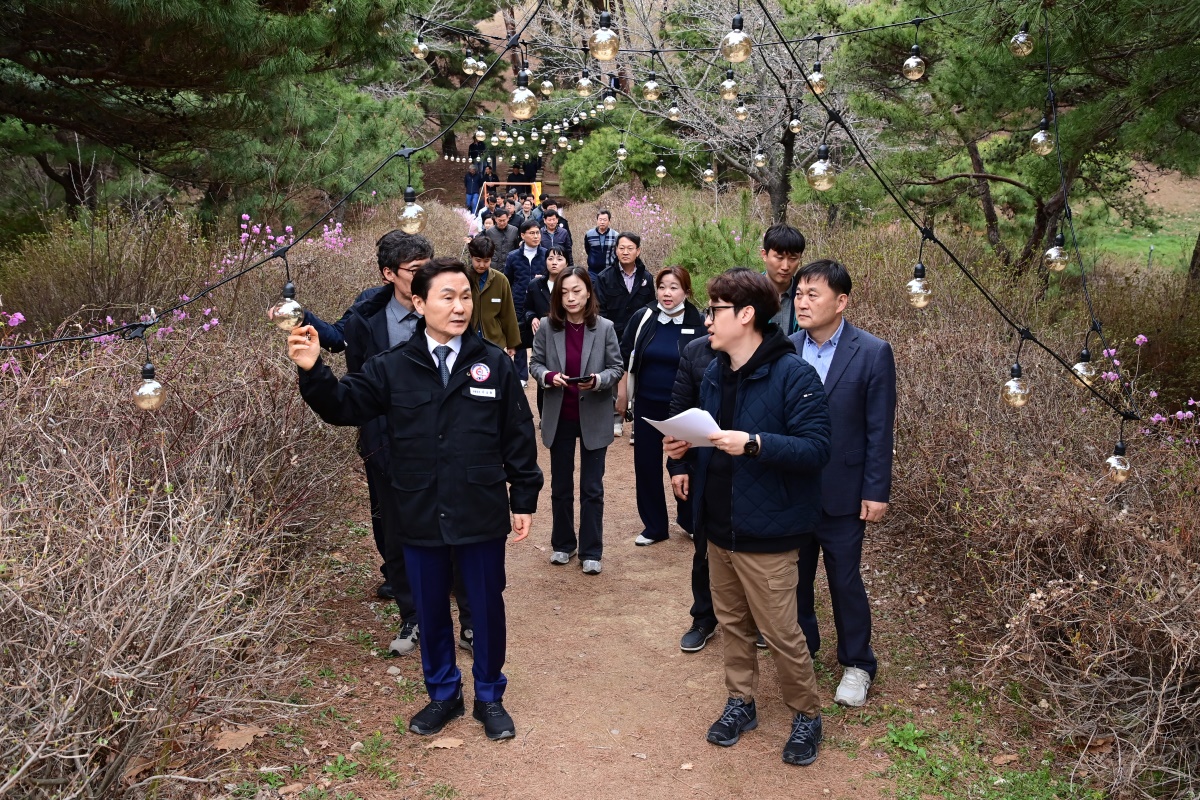 [고령군 제공]