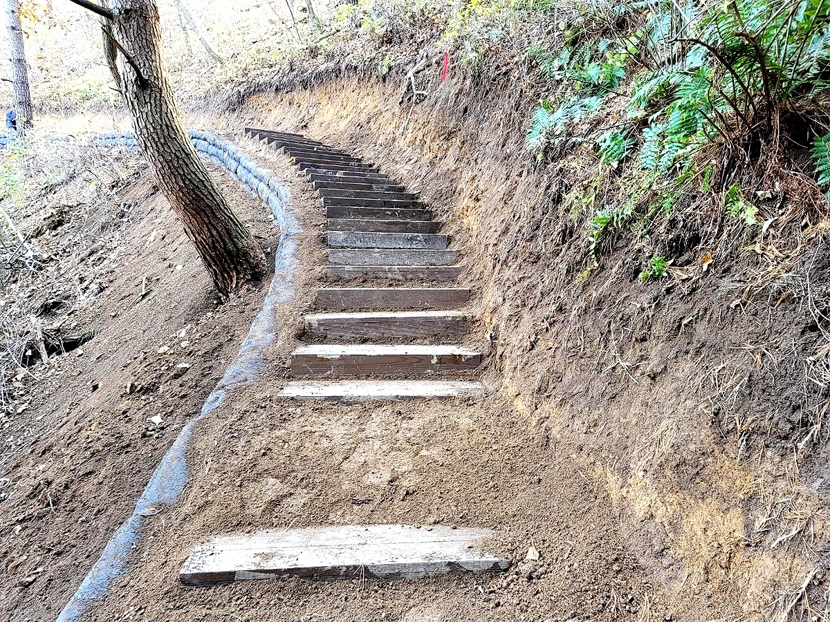 봉화군 구간 동서 횡단 국가숲길(동서트레일) (산림청 영주국유림관리소 제공)