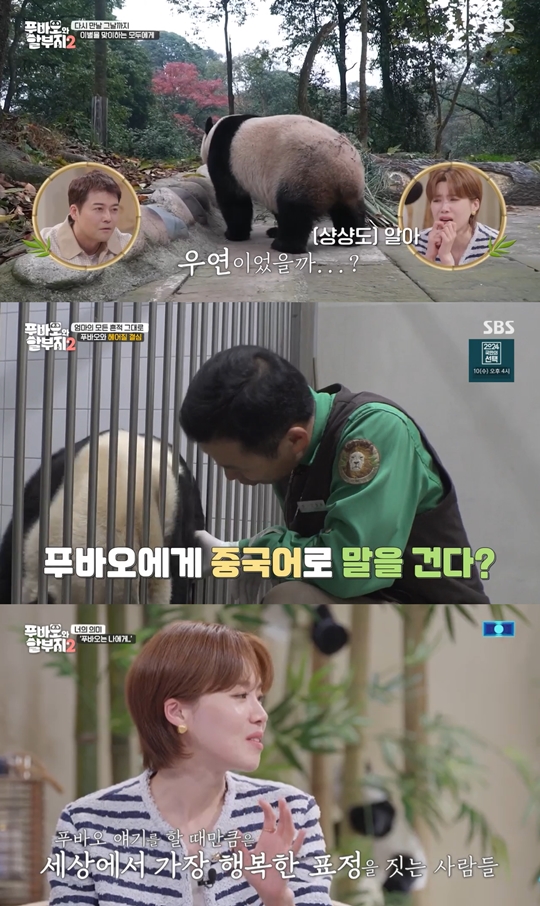 SBS '푸바오와 할부지2‘캡처