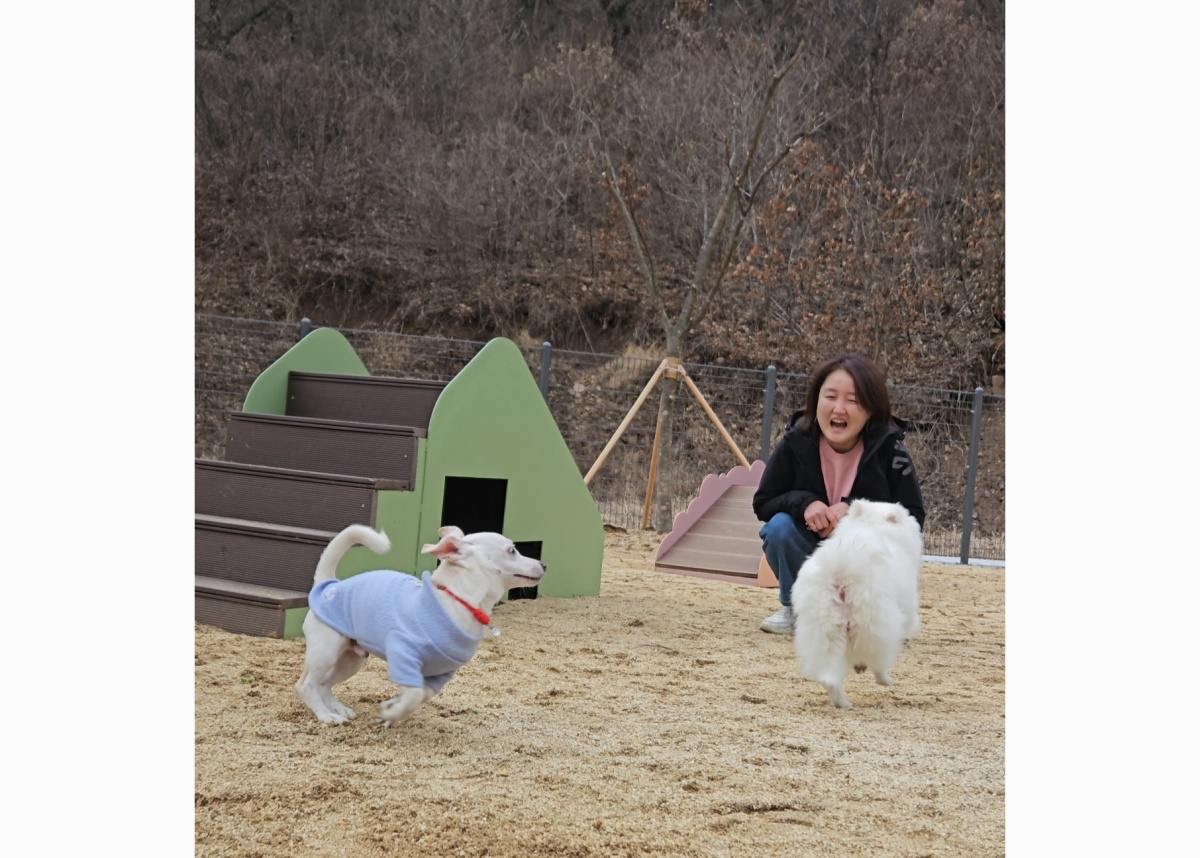 [영양군 제공]
