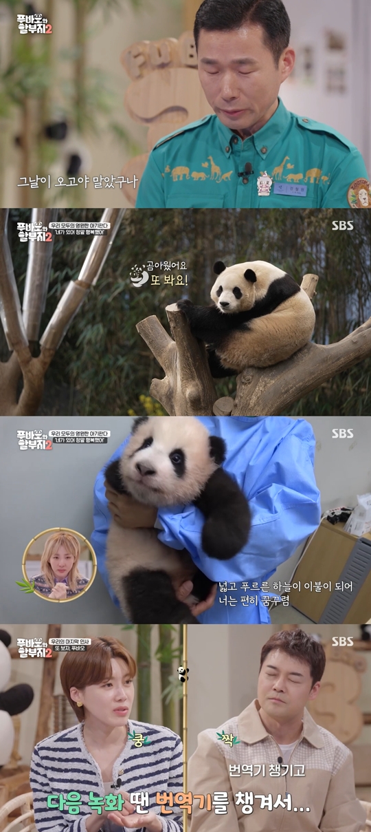 SBS '푸바오와 할부지2‘캡처