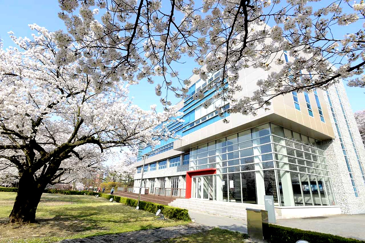 경북 전문대가 벚꽃 시즌을 맞이해 3일부터 7일까지 대학 캠퍼스를 개방한다.(경북 전문대 제공)