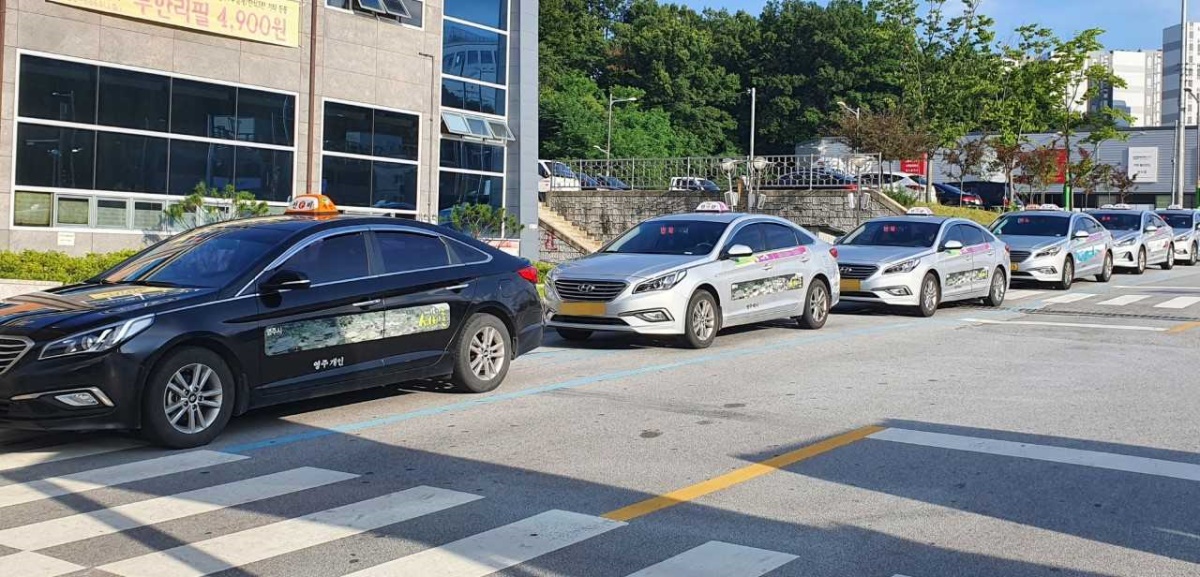 영주 택시들이 버스터미널에서 줄지어 손님을 기다리고 있다(영주시 제공)