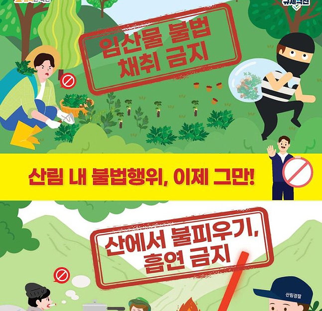 산림 내 불법행위 특별단속 홍보문(울진군 제공)