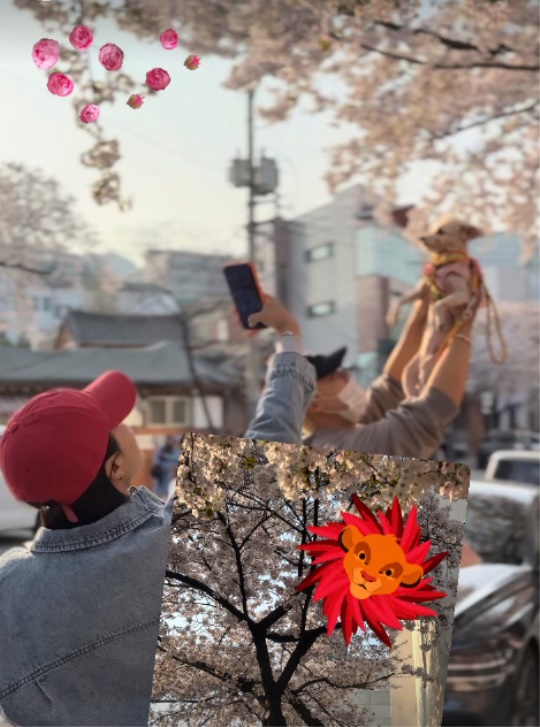이상화 채널