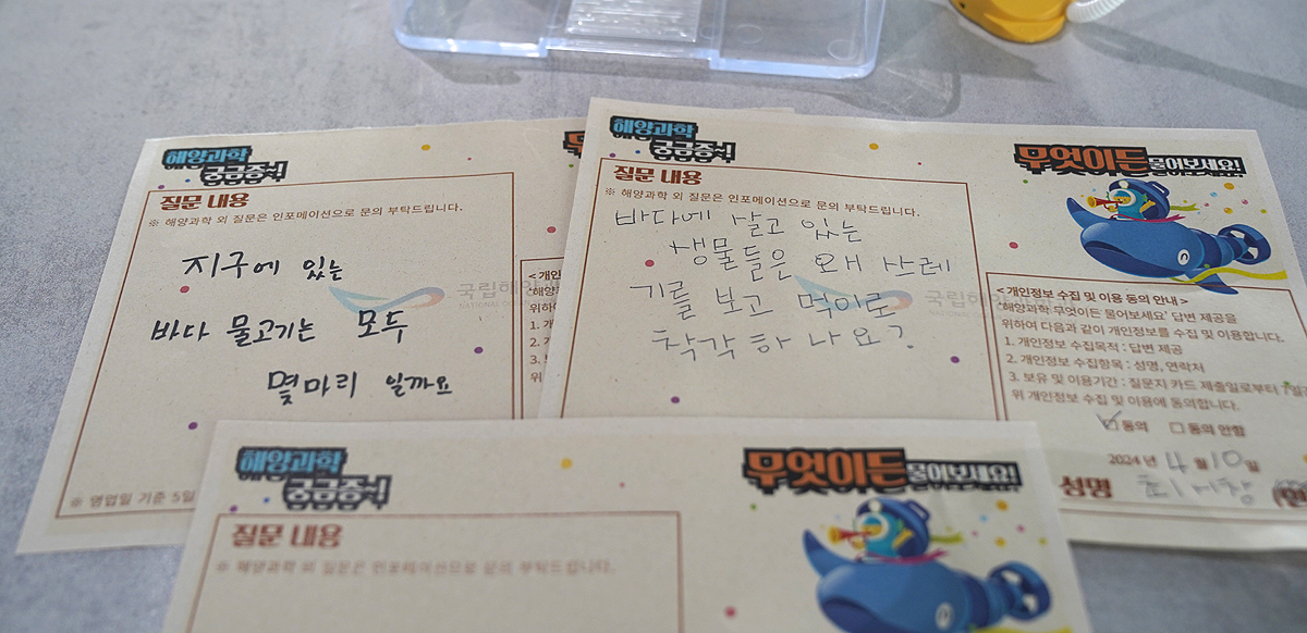 초등학생들이 남긴 해양과학관련 질문지(국립해양과학관 제공)
