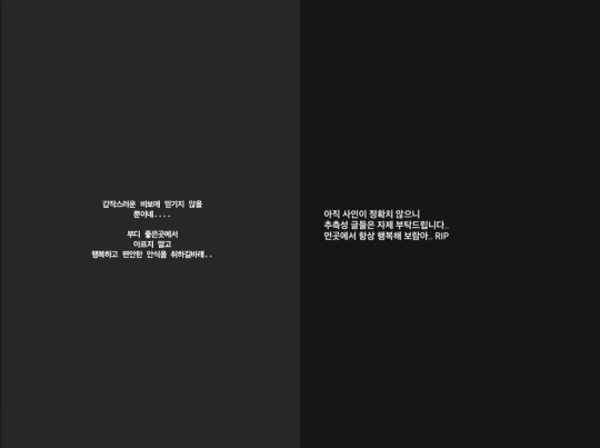 이보람, 김그림 채널