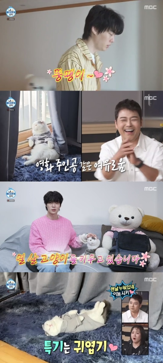 MBC '나혼산' 방송캡쳐