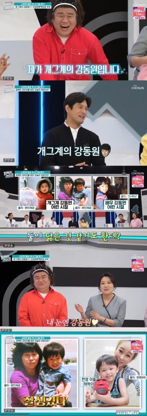 TV조선 '퍼펙트 라이프' 방송화면 캡처