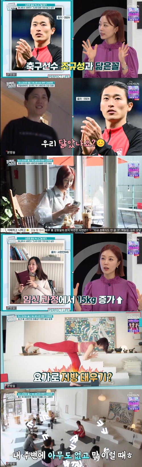 TV조선 '퍼펙트 라이프' 방송화면 캡처