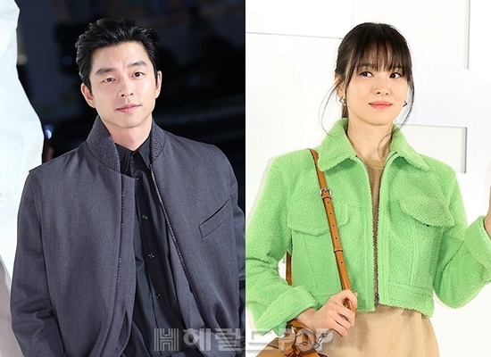 배우 공유, 송혜교/사진=헤럴드POP DB